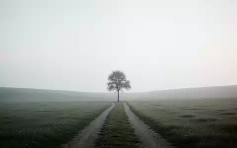 Eine ruhige, minimalistische Landschaft mit einem einzelnen Baum und einem klaren Weg, der ein Gefühl von Einfachheit und Frieden vermittelt. - Foto: über boerse-global.de