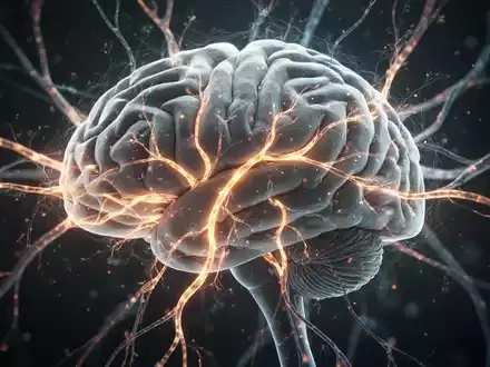 Abstrakte Darstellung des menschlichen Gehirns mit leuchtenden neuronalen Bahnen, die Placebo- und Nocebo-Effekte bei Schmerzbehandlung symbolisieren. - Foto: über boerse-global.de
