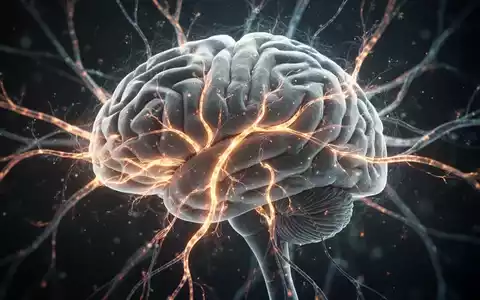 Abstrakte Darstellung des menschlichen Gehirns mit leuchtenden neuronalen Bahnen, die Placebo- und Nocebo-Effekte bei Schmerzbehandlung symbolisieren. - Foto: über boerse-global.de