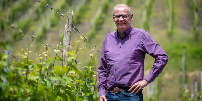 Zwischen den Riesling-Reben: Abseits des Fernsehstudios ist Günther Jauch gerne auf seinem Weingut an der Saar. (Archivbild) - Foto: Harald Tittel/dpa