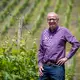 Zwischen den Riesling-Reben: Abseits des Fernsehstudios ist Günther Jauch gerne auf seinem Weingut an der Saar. (Archivbild) - Bild: Harald Tittel/dpa