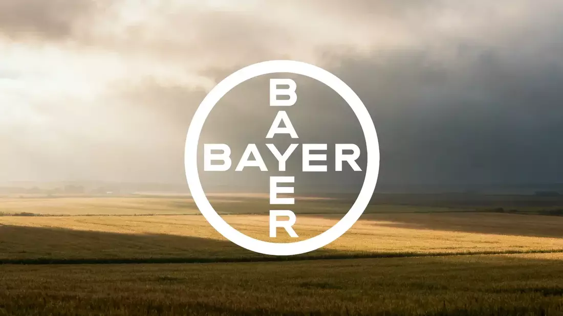 Bayer Shares Surge on BASF IPO, Legal Win, and Break-Up Prospects