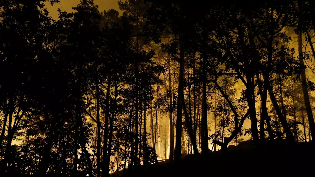 Die Feuerwehr kämpft mit rund 400 Kräften und Löschflugzeugen gegen den Brand im Wald von Fontainebleau.  - Bild: Geoffroy Van Der Hasselt/AFP/dpa