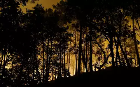 Die Feuerwehr kämpft mit rund 400 Kräften und Löschflugzeugen gegen den Brand im Wald von Fontainebleau.  - Foto: Geoffroy Van Der Hasselt/AFP/dpa