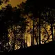 Die Feuerwehr kämpft mit rund 400 Kräften und Löschflugzeugen gegen den Brand im Wald von Fontainebleau.  - Bild: Geoffroy Van Der Hasselt/AFP/dpa