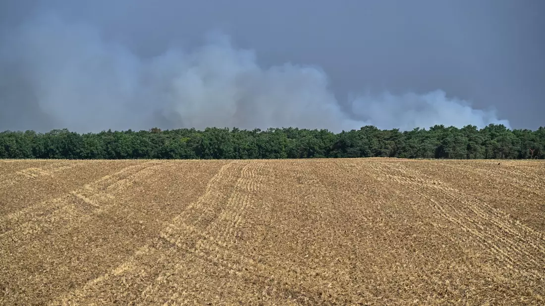 Möglicherweise ist der Brand im Wald von Fontainebleau absichtlich gelegt worden. - Bild: Emma Da Silva/AP/dpa