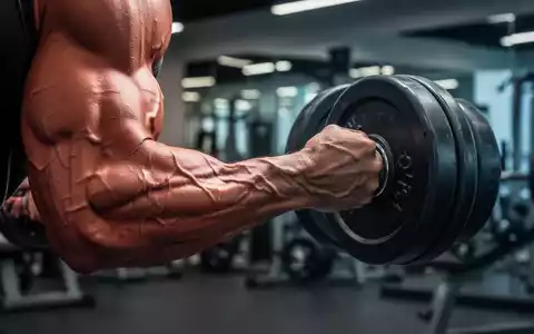 Ein muskulöser Arm hebt eine Hantel, sichtbare Muskelspannung und -definition, in einem modernen Fitnessstudio. - Foto: über boerse-global.de