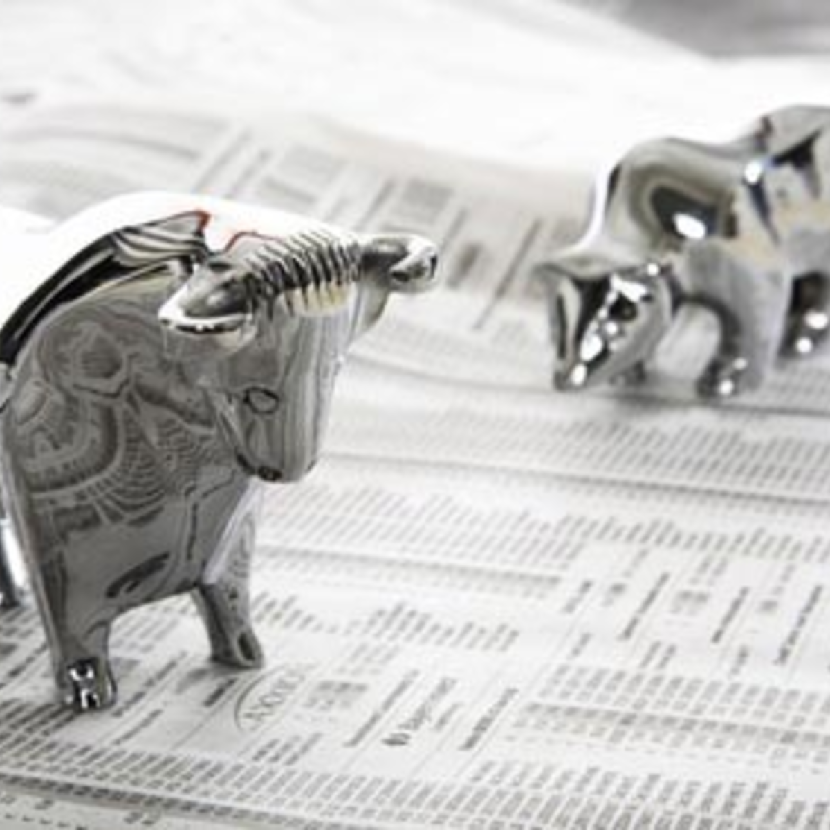 Bulle und Bär - Foto: Fotolia.com / Infinite XX