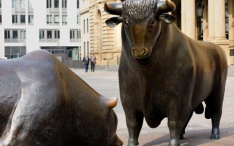 Bulle und Bär - Foto: Fotolia.com / emu-coffee