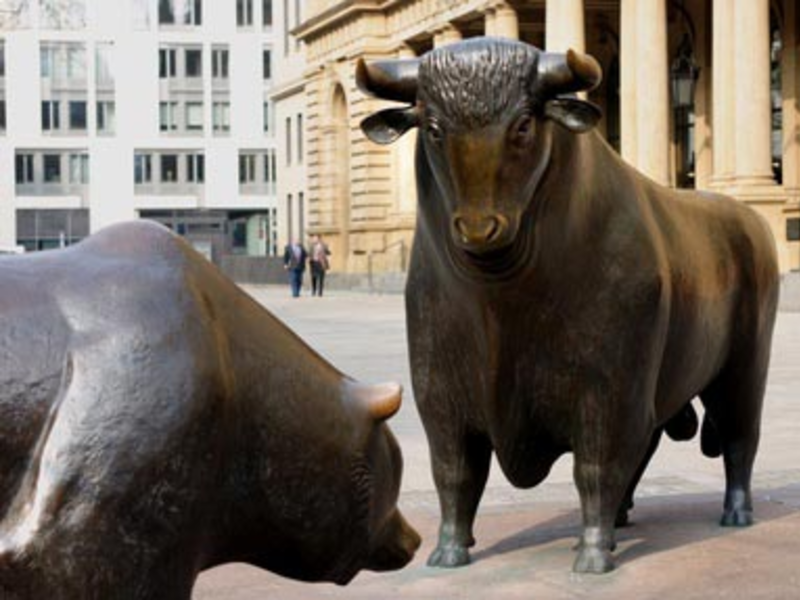 Bulle und Bär - Foto: Fotolia.com / emu-coffee