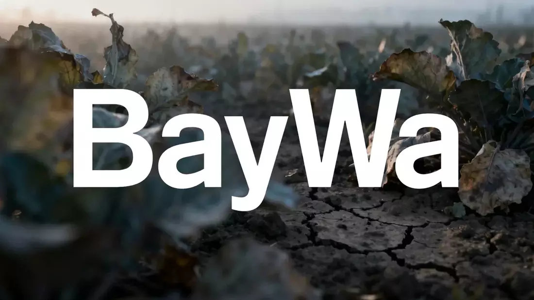 BayWa Shares Rally 11% But Restructuring Uncertainty Looms Until 2026
