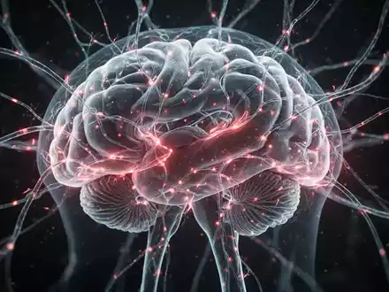 Abstrakte Darstellung von neuralen Pfaden und Schmerzsignalen im Gehirn mit leuchtenden Linien, die medizinische Forschung symbolisieren. - Foto: über boerse-global.de