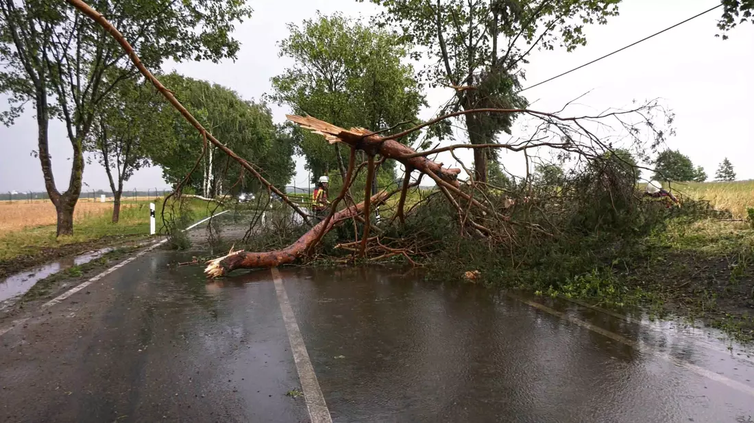 Ein Feuerwehrmann befreit bei Ludwigslust-Parchim eine Straße nach einem Gewitter von einem herabgefallenen Ast. - Bild: Ralf Drefin/SWM DV Studio/dpa