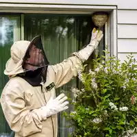 ADAC Zuhause Versicherung: Wespennester nie in Eigenregie entfernen - Foto: presseportal.de