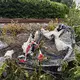 Der Zugverkehr wurde eingestellt.  - Bild: Sebastian Peters/NEWS5/dpa