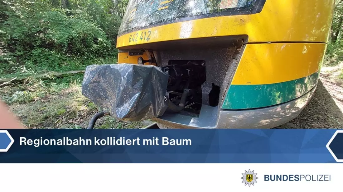 BPOLI LUD: Regionalbahn kollidiert mit umgestürzten Baum - Bild: presseportal.de