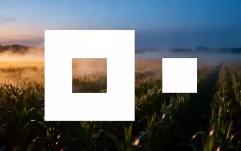 Abstrakte, atmosphärische Szene, die den Agrarsektor darstellt. Ein weites, modern beleuchtetes Feld mit leichtem Nebel. - Foto: über boerse-global.de