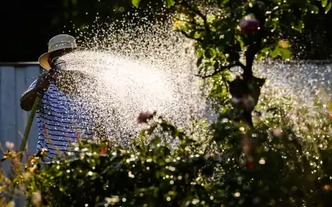 Die Trockenheit lässt in München den Wasserverbrauch steigen. Nun reagiert die Stadt mit Verboten. (Symbolbild) - Foto: Julian Stratenschulte/dpa