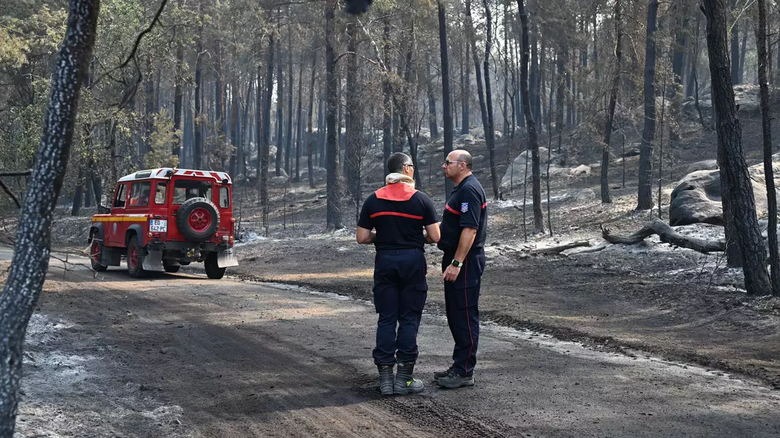 Ein freiwilliger Feuerwehrmann hat eingeräumt, im Wald von Fontainebleau Feuer gelegt zu haben. - Bild: Emma Da Silva/AP/dpa
