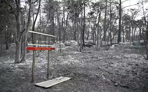 Über 2.000 Hektar Flüche wurden durch den Brand im Wald von Fontainebleau bereits zerstört. - Foto: Emma Da Silva/AP/dpa