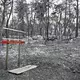 Über 2.000 Hektar Flüche wurden durch den Brand im Wald von Fontainebleau bereits zerstört. - Bild: Emma Da Silva/AP/dpa