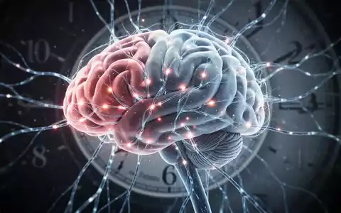 Eine Nahaufnahme eines stilisierten menschlichen Gehirns mit leuchtenden neuronalen Pfaden und einem Uhrelement im Hintergrund. - Foto: über boerse-global.de