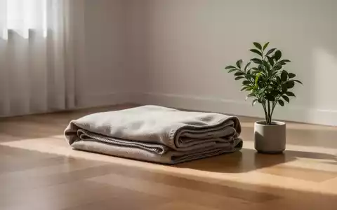 Ein minimalistisches, aufgeräumtes Zimmer mit einem ordentlich gefalteten Plaid auf einem Holzboden und einer kleinen Pflanze. - Foto: über boerse-global.de