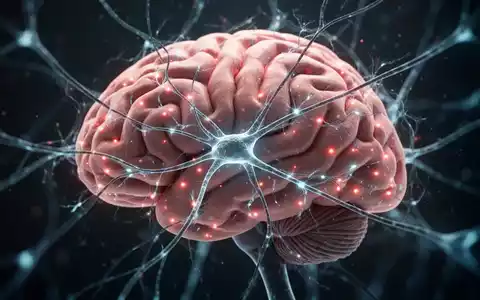 Nahaufnahme eines Gehirns mit beleuchteten neuronalen Netzwerken, das wissenschaftliche Forschung zu Alzheimer-Therapien darstellt. - Foto: über boerse-global.de