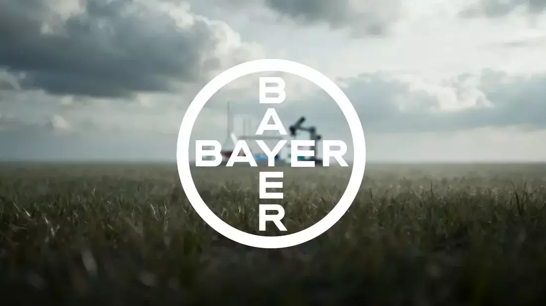 Bayer Stock Surges 80% Ahead of Key Roundup Hearing and Earnings