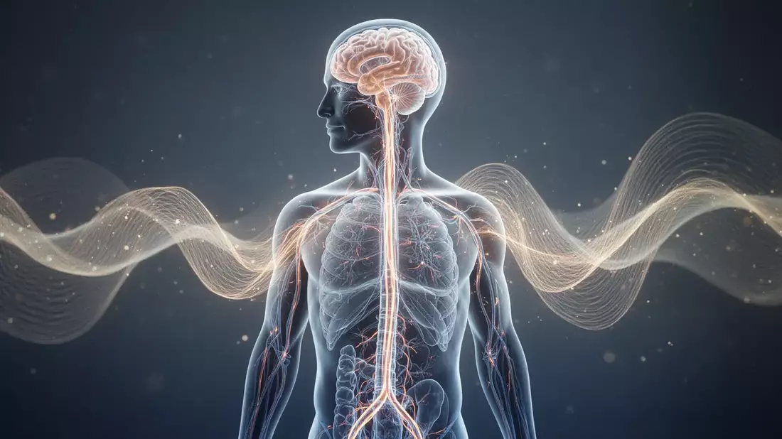 Vagusnerv und HRV: Neue Wege in der Medizintechnik gegen Stress