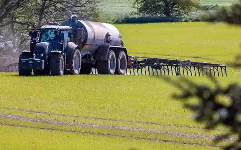 Unter anderem durch Gülle gelangt Nitrat in den Boden. (Symbolbild) - Foto: Jens Büttner/dpa