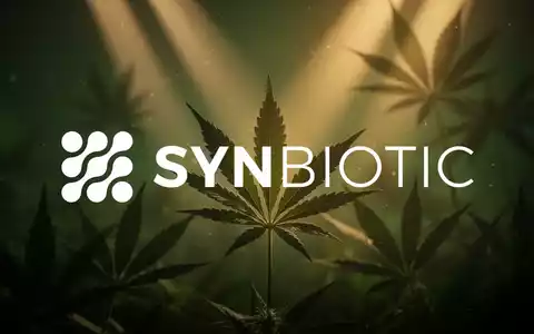 Abstrakte Szene der Cannabisindustrie mit sanften, aufsteigenden Lichtstrahlen und stilisierten Cannabisblättern, die Wachstum andeuten. - Foto: über boerse-global.de