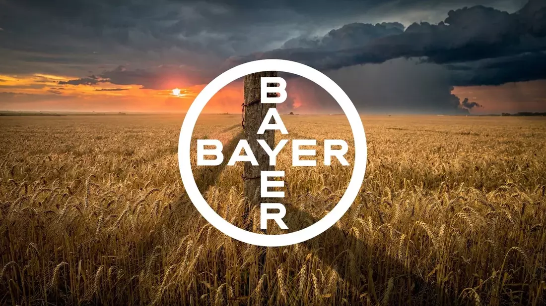 Bayer Shares Slip 3% as Rally Pauses on Legal Nuances and Debt Concerns