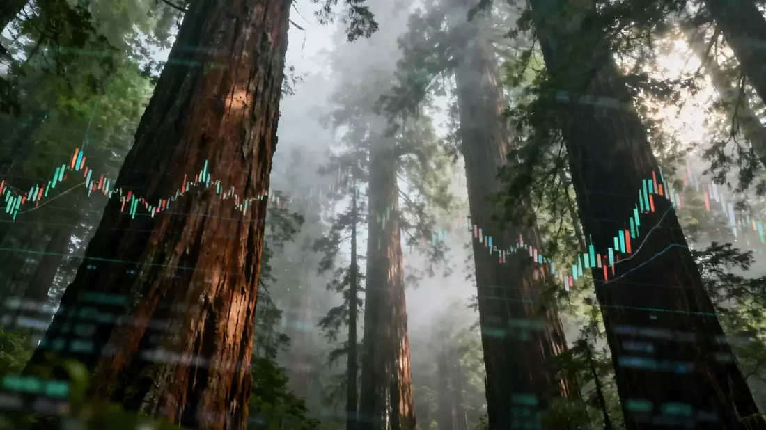 Redwood AI Corp Stock Plunges 74% Amid AI Hardware Shift and Acquisition Doubts