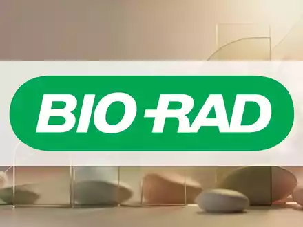 Eine abstrakte, atmosphärische Szene, die Kapitalbeschaffung und Investitionen im Gesundheits- und Wellnessbereich darstellt. - Foto: über boerse-global.de