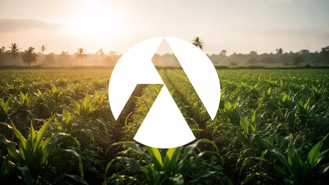 Tilray Brands: Medizinal-Cannabis-Start in Panama
