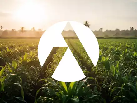 Ein üppiges, grünes Feld unter tropischer Sonne, das Markteintritt und Wachstum symbolisiert. Die Stimmung ist optimistisch und vielversprechend. - Foto: über boerse-global.de
