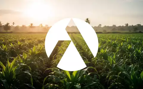 Ein üppiges, grünes Feld unter tropischer Sonne, das Markteintritt und Wachstum symbolisiert. Die Stimmung ist optimistisch und vielversprechend. - Foto: über boerse-global.de