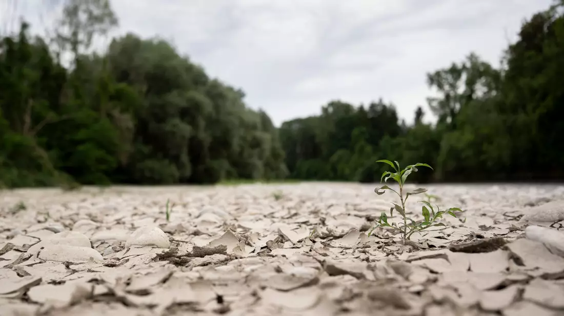 Auch die Schweiz hat mit Wassermangel zu kämpfen.  - Bild: Anthony Anex/KEYSTONE/dpa
