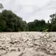 Auch die Schweiz hat mit Wassermangel zu kämpfen.  - Bild: Anthony Anex/KEYSTONE/dpa