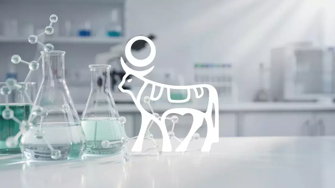 UE aprueba primera tableta oral de Wegovy; acciones de Novo Nordisk suben 2,88%