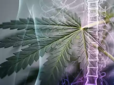 Nahaufnahme eines Cannabisblatts, überlagert mit einem abstrakten Wirbelsäulen- oder Nervenweg-Design, in medizinischem Kontext. - Foto: über boerse-global.de