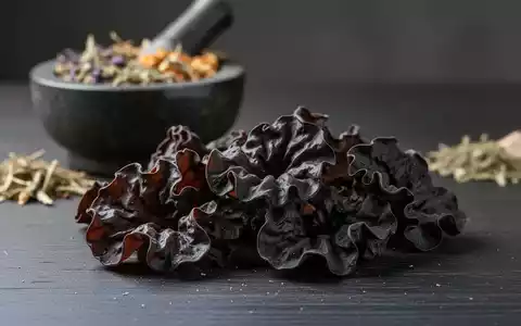 Nahaufnahme von getrockneten und rehydrierten schwarzen Judasohren (Auricularia) auf einer Holzoberfläche mit Kräutern im Hintergrund. - Foto: über boerse-global.de