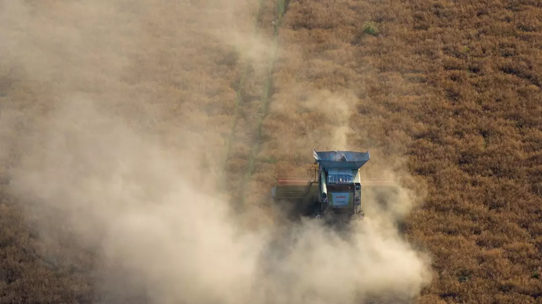 Noch herrscht Trockenheit, aber Gewitter sind im Anmarsch. - Bild: Sebastian Kahnert/dpa