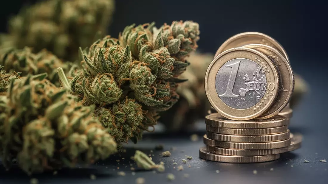 Bundestag beschließt Ende der Kassenfinanzierung für Cannabisblüten