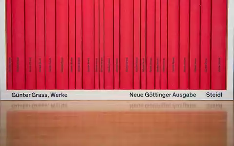Der Göttinger Steidl-Verlag steckt in einem vorläufigen Insolvenzverfahren. Der Verlag hält die Weltrechte am Werk von Günter Grass. (Archivbild) - Foto: Swen Pförtner/dpa