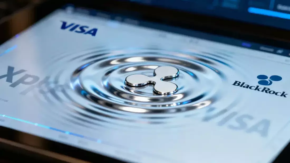 XRP Ledger alcanza 8 millones de cuentas, pero precio y actividad caen