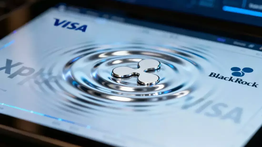 8M cuentas en XRP Ledger: récord que contrasta con el desplome de la actividad