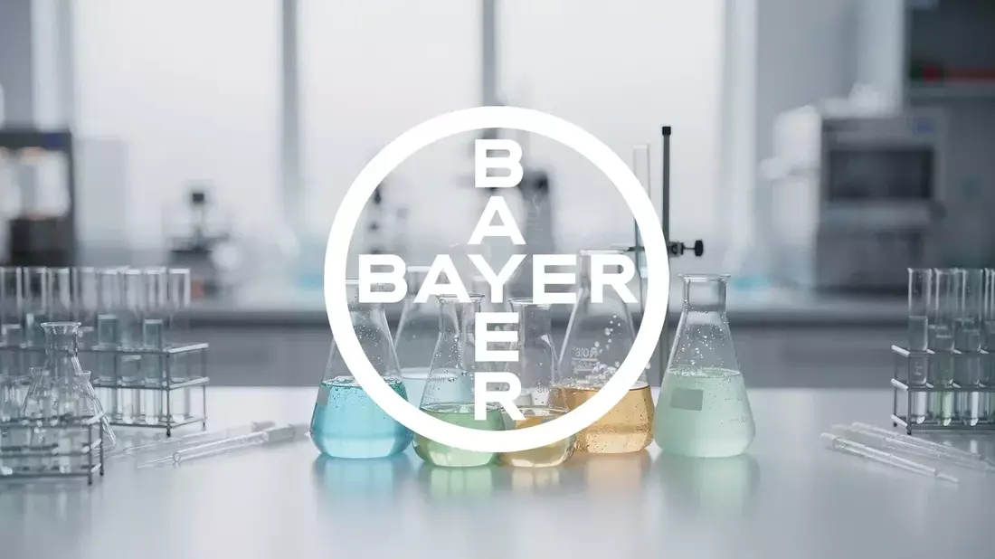 Bayer Hybrid Wheat Deal Aims for €1B Revenue by 2040s Amid Credit Rating Caution