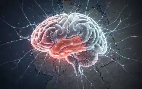 Eine stilisierte Darstellung eines menschlichen Gehirns mit leuchtenden neuronalen Pfaden über einer Karte Deutschlands, die Neuroplastizität andeutet. - Foto: über boerse-global.de